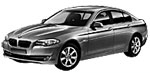 BMW F10 P0540 Fault Code